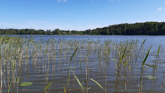Picture of Lake Linkullasjön in Inkoo